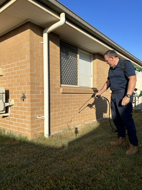 Pest Control Beerwah